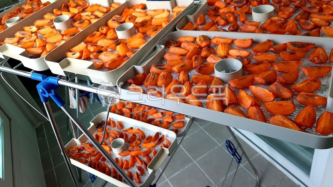 tray,sweet persimmon,Dried persimmon,fruit,Natural drying,Veranda,dry,dryer,Daebonggam,persimmon,Drying persimmons,drying fruit