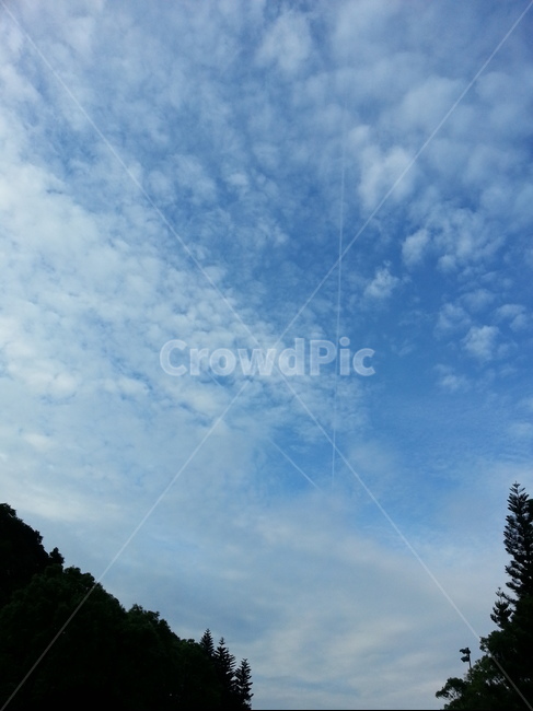 하늘,구름,자연,비행기,자욱,경로,루트,만남,조우,자연,풍경,nature,landscape,outdoors,옥외,tree,나무,plant,식물