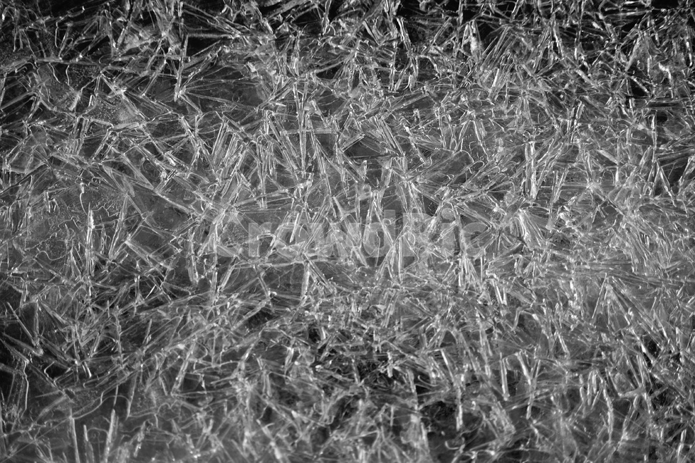 nature,자연,ice,얼음,outdoors,옥외,결빙,겨울,계절,winter,season,흑백,모노톤,monochrome,black and white,텍스처,질감,패턴,texture,pattern