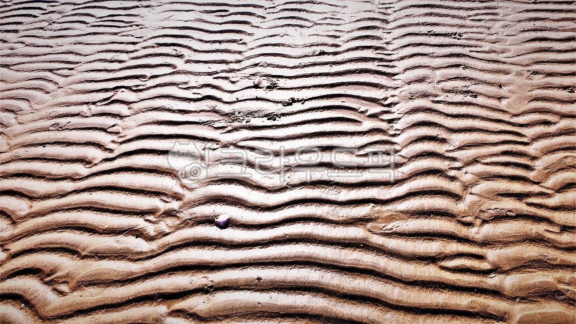 물결무늬,무늬,패턴,뻘무늬,물결흔적,흔적,texture,조직,outdoors,옥외,nature,자연