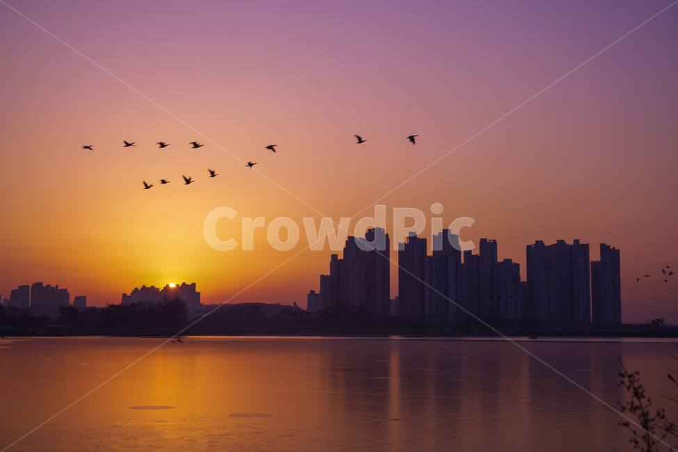새,철새,겨울철새,비행,이동,새벽,여명,호수,동물,겨울,계절,하늘,감성,도시,풍경,city,landscape,한국도시풍경,한국도시경관,korea cityscape,동물,animal,조류,새,birds,nature,자연,outdoors,옥외,sky,red sky,붉은 하늘,sunset,일몰,dawn,dusk,황혼,bird