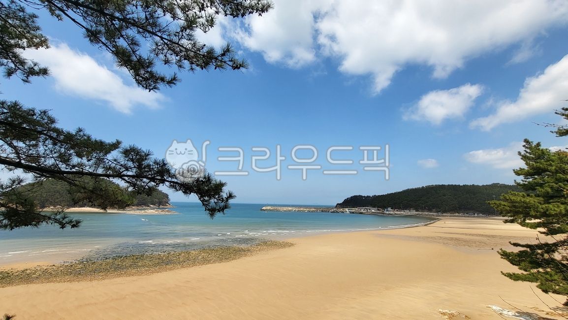 cloud,coastline,ocean,Cheonripo Arboretum Sea,sea