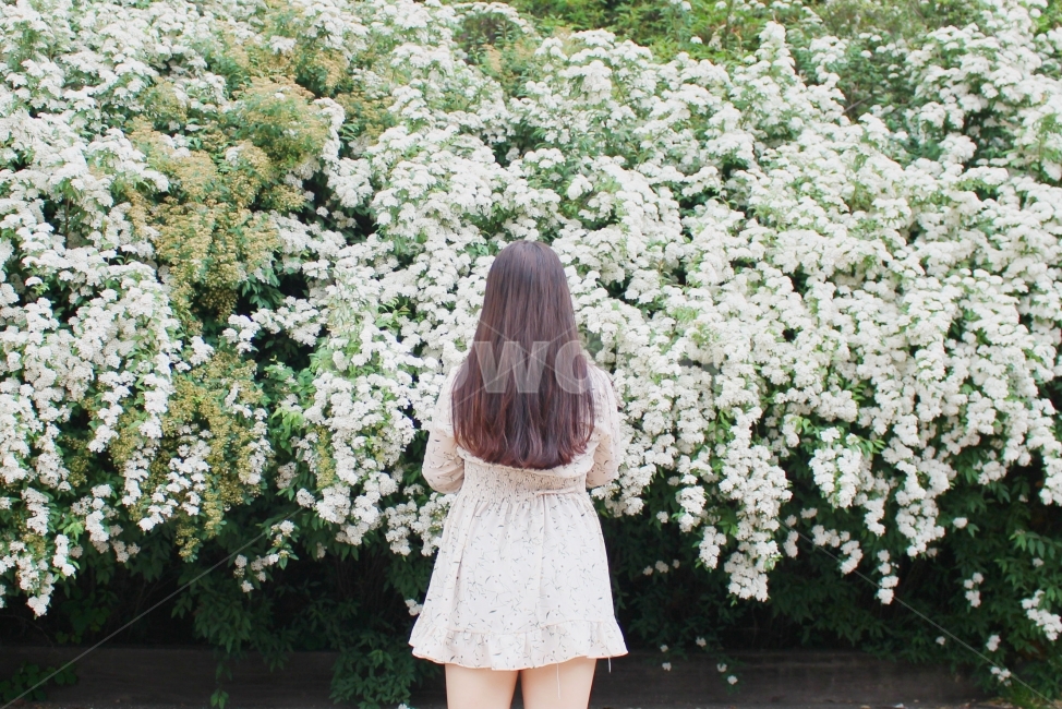 사람,봄,꽃,감성사진,소녀,색감,패션,긴머리,헤어,girl,people,식물,자연,plants,nature,꽃,flower,사람,인물,인간,human,person,여성,여자,woman,female,lady,패션스타일,의상,fashion,style