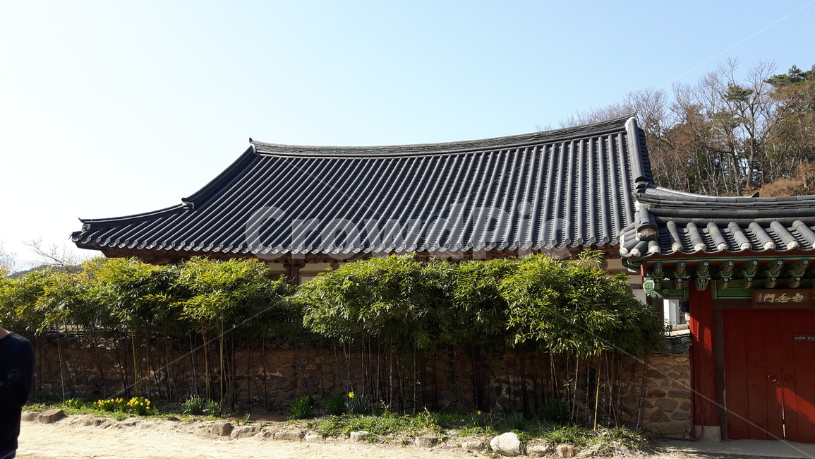 사찰,절,기와,처마,지붕,주문