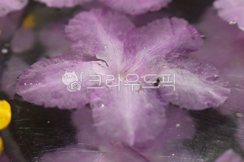 진달래,진달래꽃,꽃부꾸미,꽃지지미,꽃지짐,꽃달임