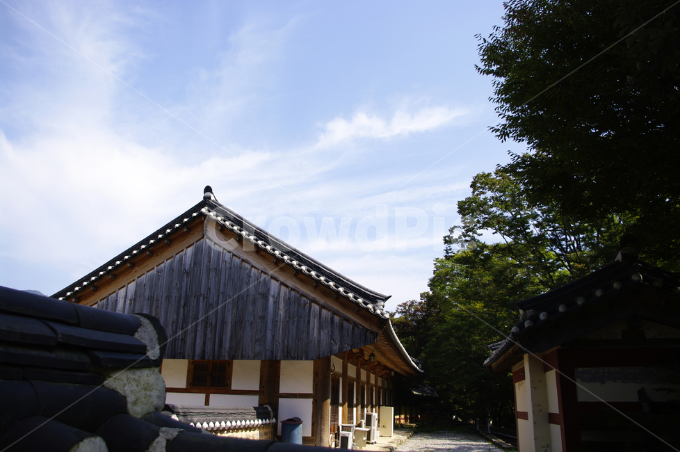 사찰,절,기와지붕,전통,하늘,구름,한국전통,한국문화,korean traditional,korean culture,건축물,건물외관,exterior,building,structure,architecture,construction