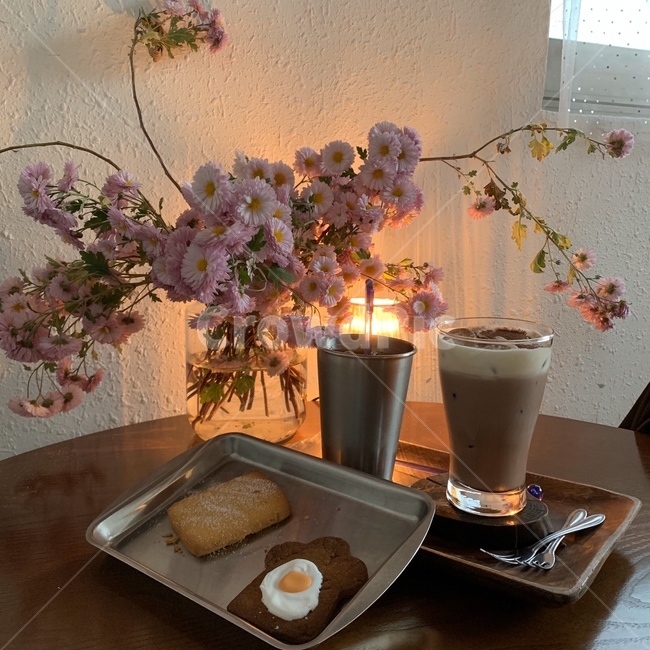 꽃,조화,커피,디저트,카페,식물,쿠키,plant,coffee,cup,커피,카페,coffee,cafe