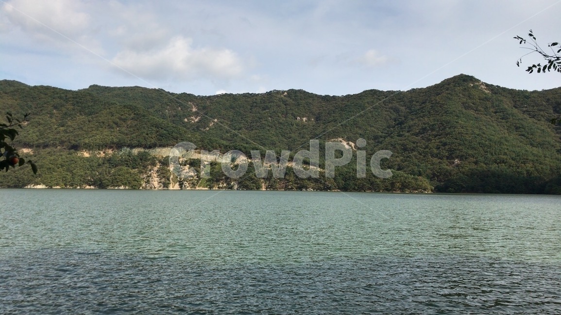 water,물,nature,자연,outdoors,옥외,저수지,호수,산,montain,동네뒷산,뒷산,나무,나뭇잎,가지,줄기,나무줄기,나무가지,나뭇가지,등산,하늘,숲,숲속