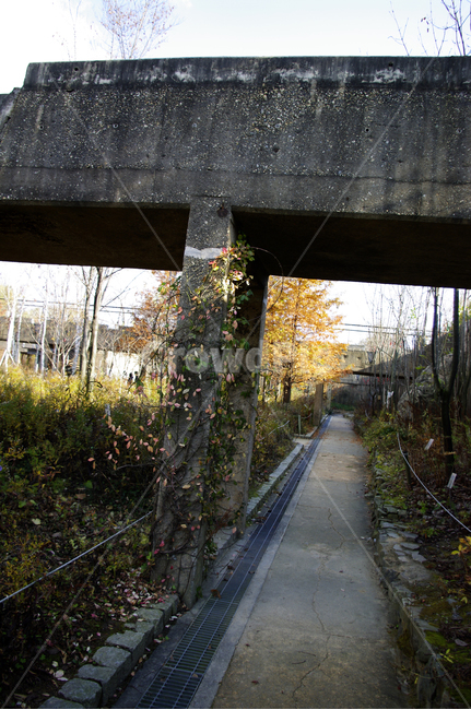길,공원,나무,식물,잡초,자연,풍경,nature,landscape,outdoors,옥외,arbour,정자,garden,정원