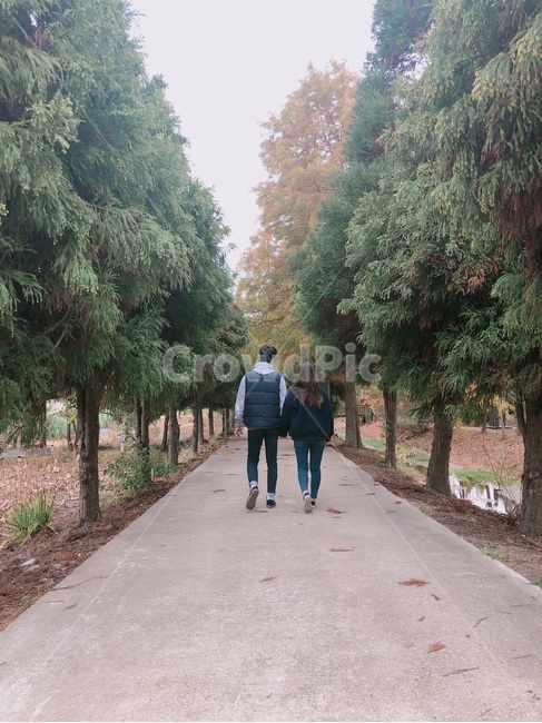 커플,뒷모습,메타세콰이어,걷기,숲,손,손잡기,걸음,데이트,길,둘레길,나무,couple,back,walk,walking,hand,wood,forest,holdhads,dating,date,tree,dullegill,trail,route,path,appearance,behind,사람,인물,인간,human,person,연인,커플,사랑,lover,couple