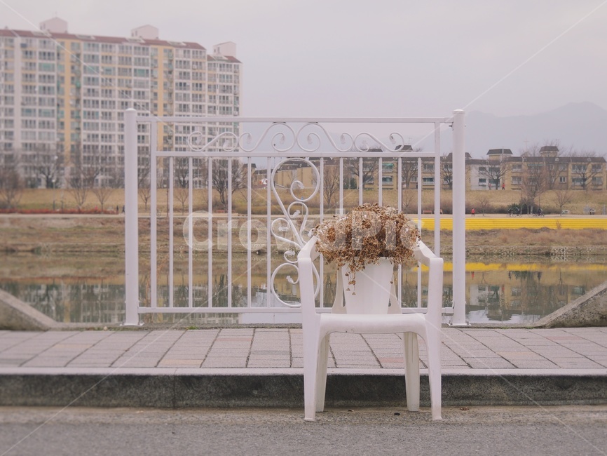 의자,화분,외로움,혼자,alone,꽃,식물,공원,유원지