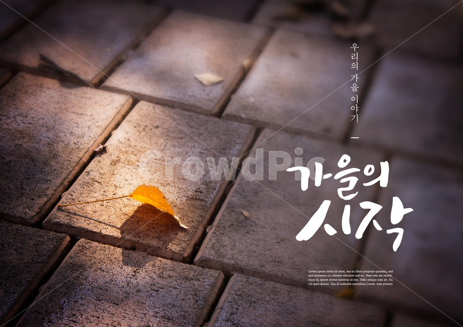 낙엽,가을,감성,캘리,캘리그라피,손글씨,붓글씨,표지,브로슈어,전단지,카달로그,가을,계절,fall,autumn,season,감성,sensible,feeling,캘리그라피,손글씨,calligraphy,plant,식물,leaf,잎,path,통로,walkway,보도