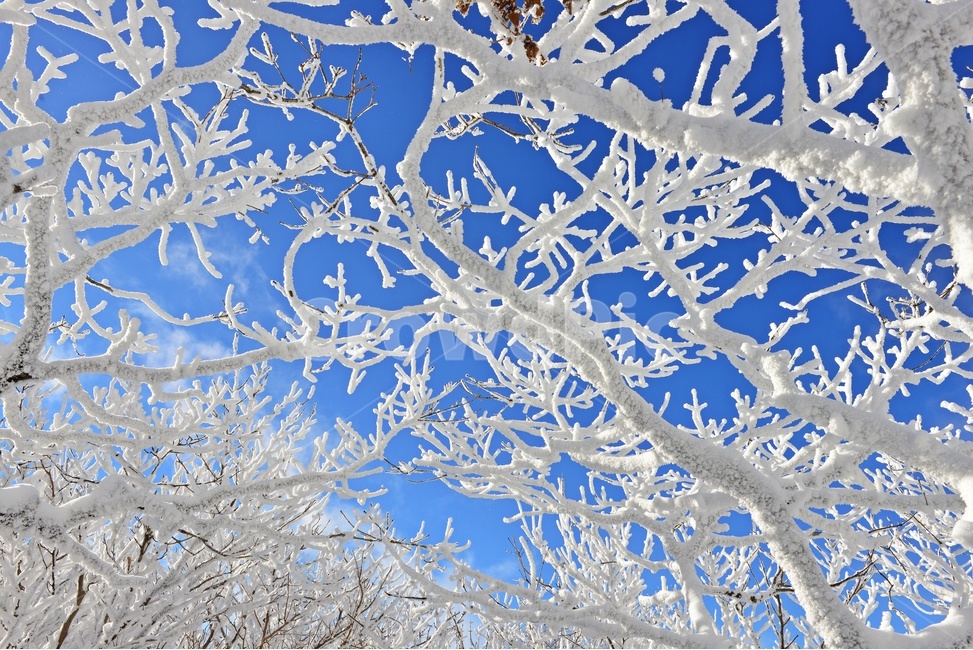 무주,덕유산,덕유산설경,상고대,겨울,설천봉,outdoors,옥외,nature,자연,ice,빙,snow,눈