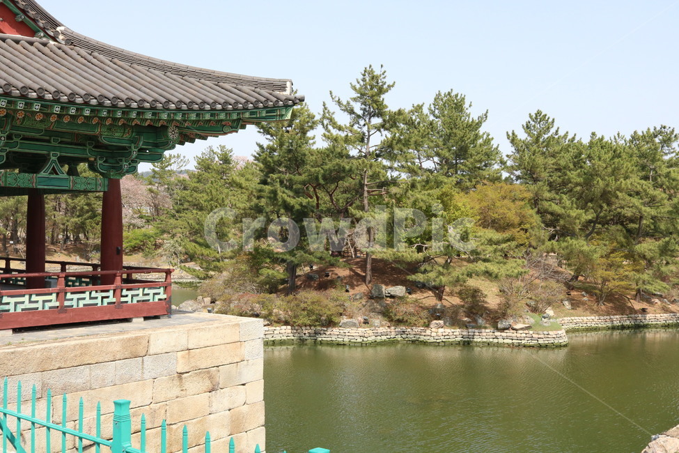 architecture,건출물,건물,한국적인,기와,전통의,자연,하늘,나무,tree,tile,building,korean,lake,호수
