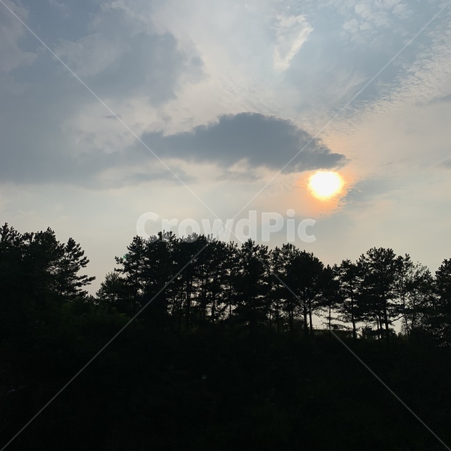 하늘,해,나무,구름,해질녘