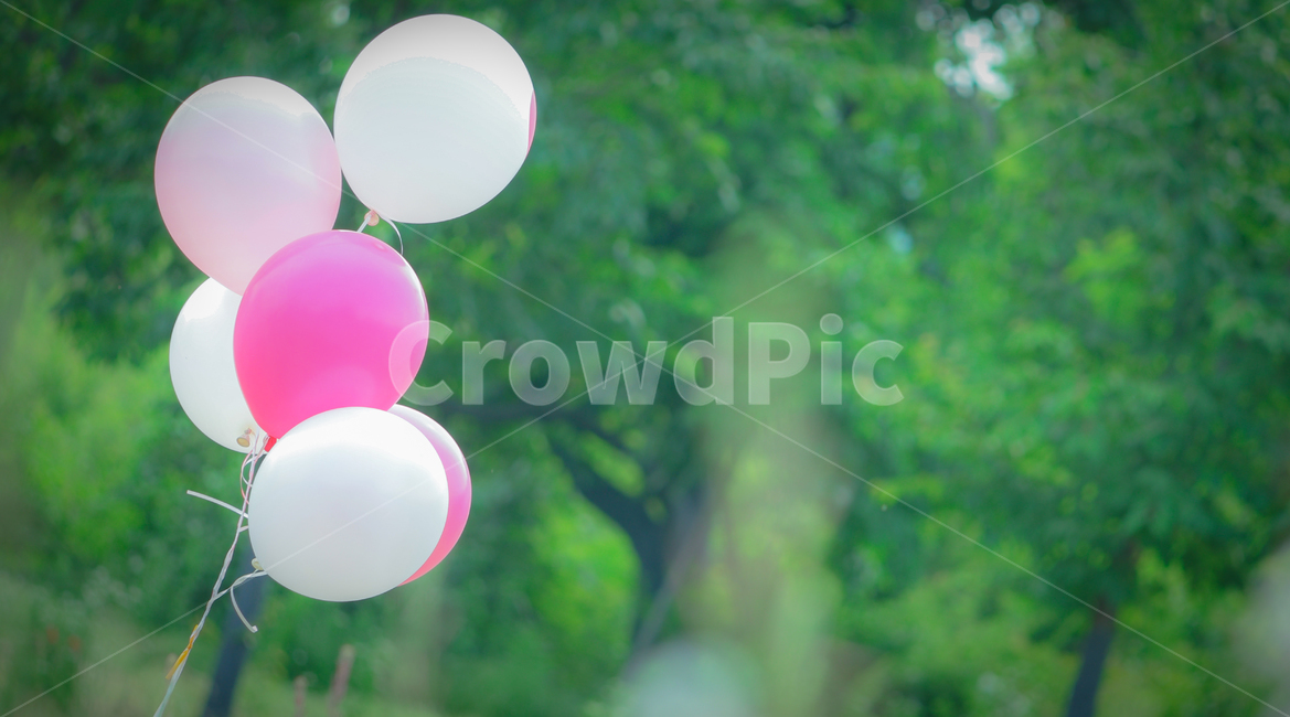 감성,풍선,여름,소품,알록달록,숲,나무,핑크,화이트,여름,계절,summer,season,감성,sensible,feeling,ball,공,balloon
