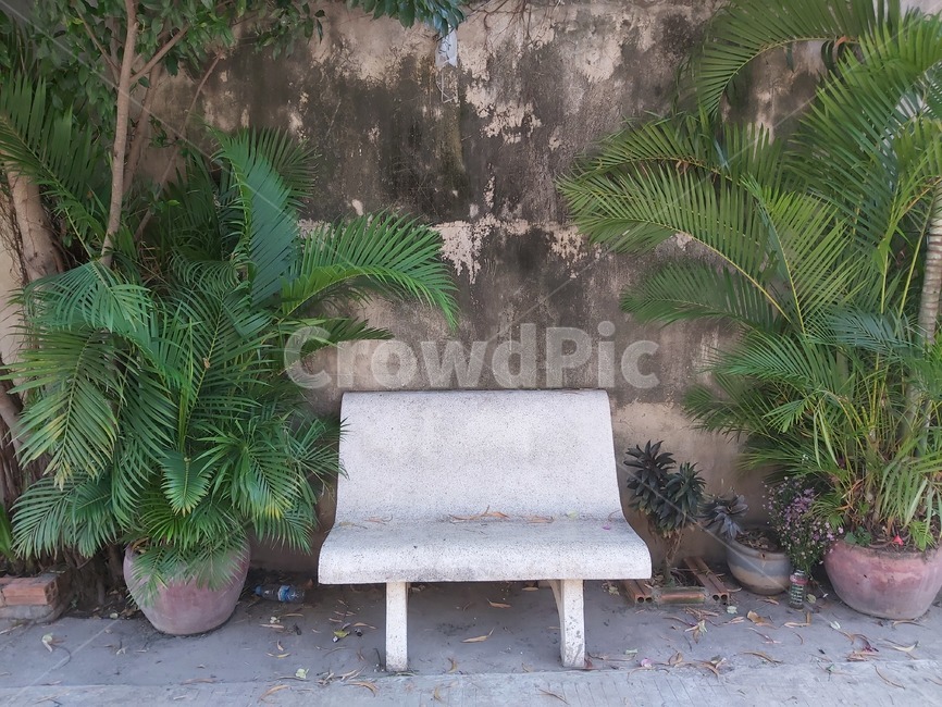 벤치,flagstone,판석,furniture,가구,빈벤치,하얀벤치,벤치와화분,화분,빈의자,담벼락