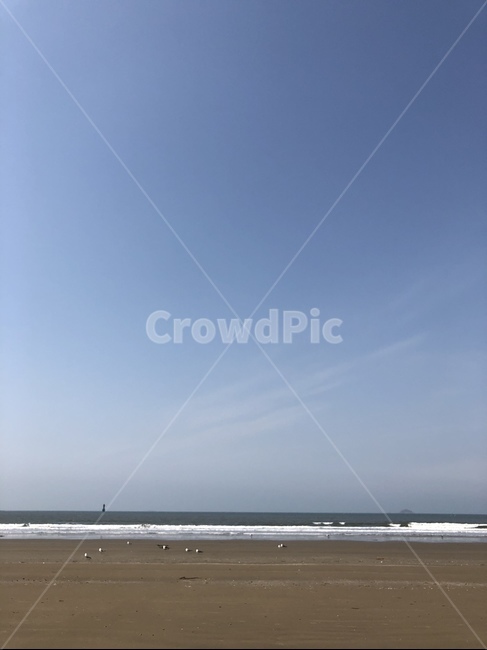 봄바다,하늘,자연,모래,새