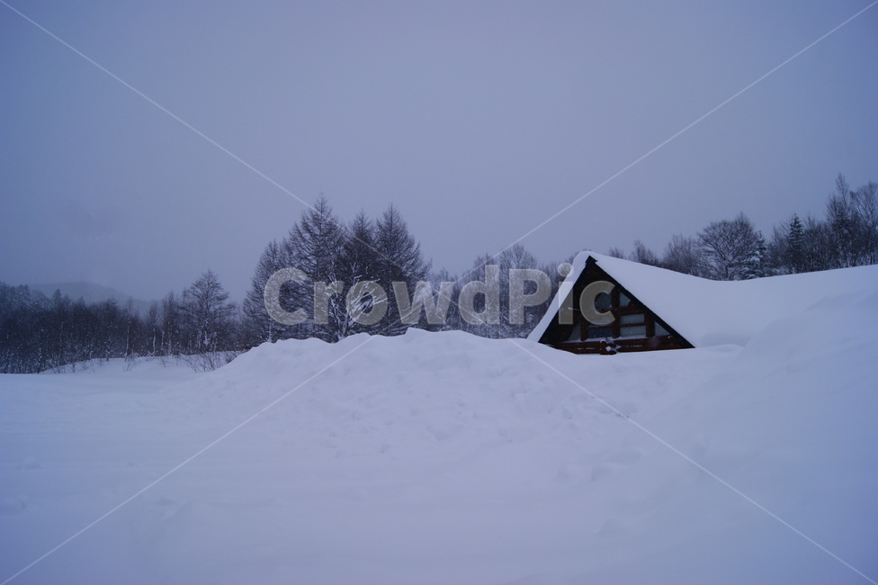 눈,겨울,하얀겨울,snow,winter,폭설,고요함,홋카이도,겨울,계절,winter,season,자연,풍경,nature,landscape