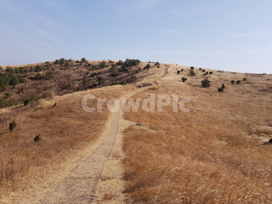 따라비오름,오름,제주도오름,오름갈대,제주오름,제주도,jeju,jeju island,dirt road,흙길,road,도로,gravel,자갈,ground,바닥,outdoors,옥외,nature,자연