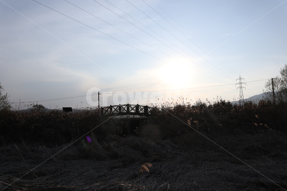 다리,갈대밭,갈대,시골,풍경,자연,자연,풍경,nature,landscape