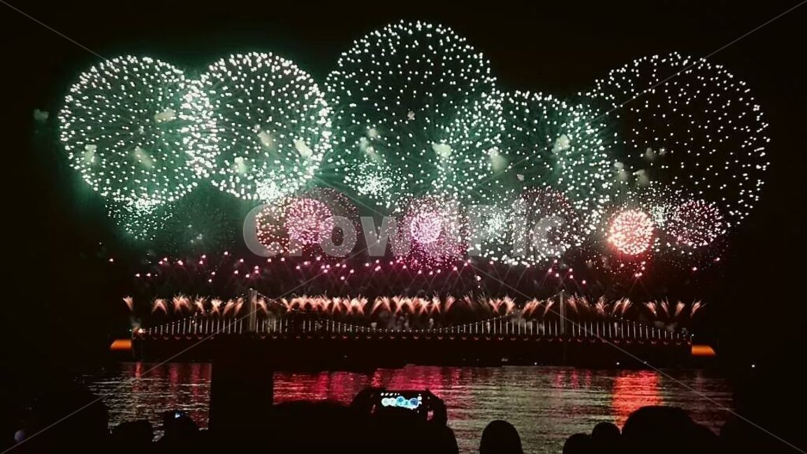 불꽃,night,밤,축제,자연