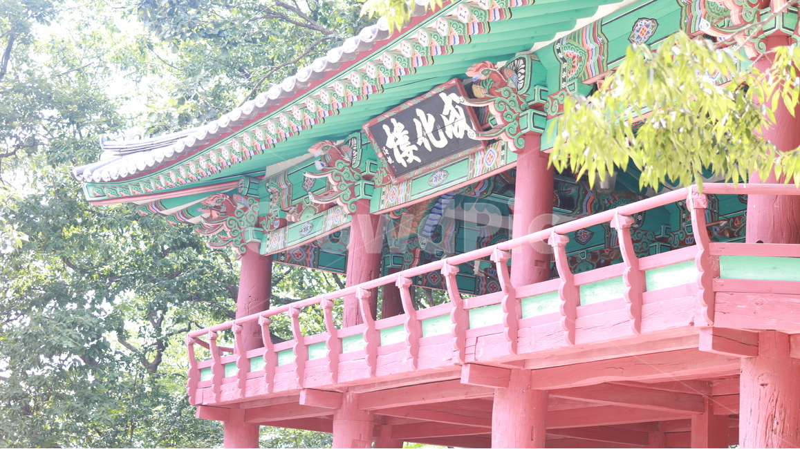 함양,여름,풍경,정자,나무,한국전통,한국문화,korean traditional,korean culture,건축물,건물외관,exterior,building,structure,architecture,construction