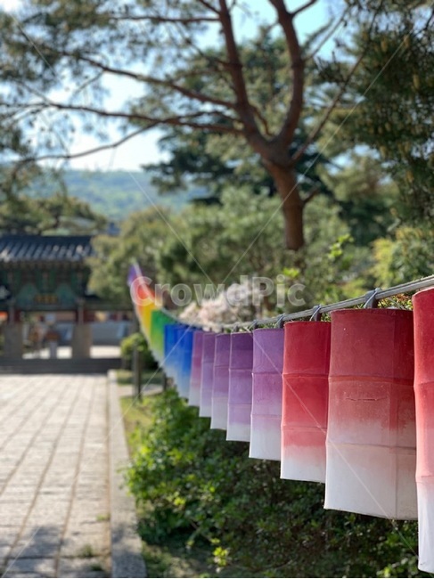 자연,절,나무,숲,무지개빛