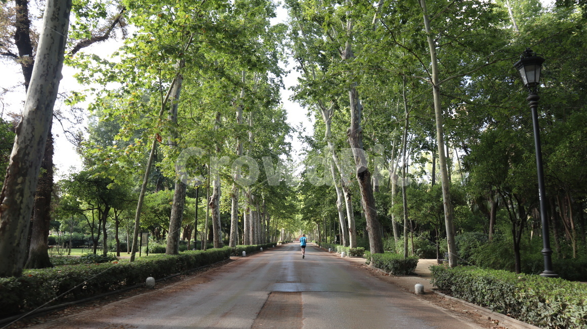 outdoors,human,인간,사람,person,garden,조깅,산책길,나무,스포츠,레저,운동,sports,leisure,exercise