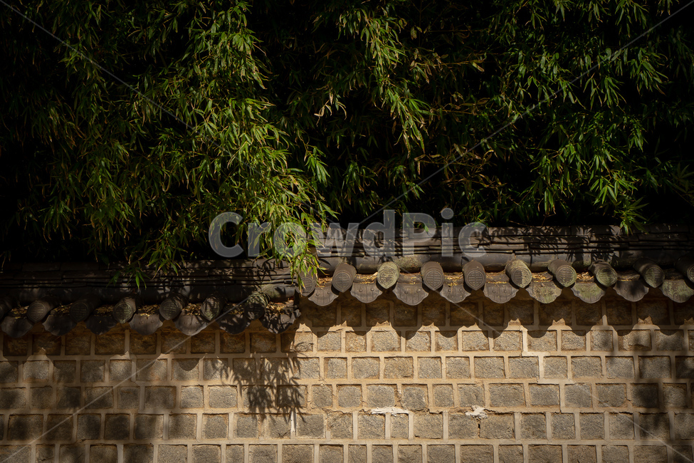 한국,전통,기와,자연,나무,벽돌,korea,traditional,nature,tree,brick,한국전통,한국문화,korean traditional,korean culture,건축물,건물외관,exterior,building,structure,architecture,construction