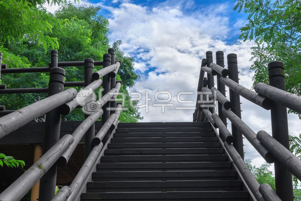 in the woods,blue sky,forest,stairs,deck,bluesky,wooden stairs,Clean,air,summer,climb,parks,treestairs,ascent,walking,railing,freshplants,weather,wood,Handrail,park,sky,green,clear sky,white clouds,whiteclouds,clearsky,afternoon,Leisure,plant,cleanair,wal