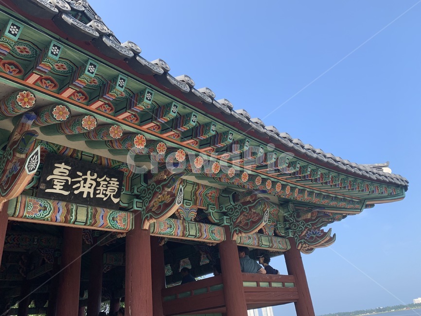 건물,정자,강릉,경포대,한옥