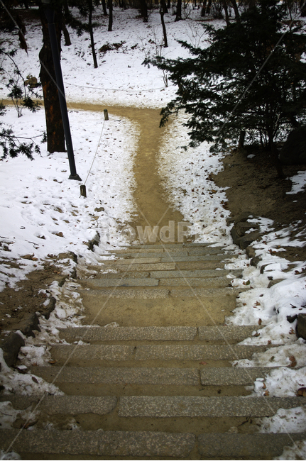 겨울,winter,풍경,설경,눈,길,나무,식물,plant,겨울,계절,winter,season,자연,풍경,nature,landscape,path,통로,road,도로