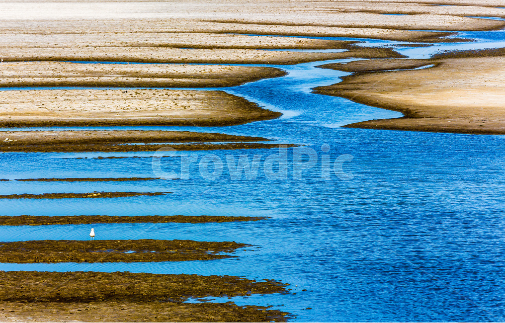 영종도,모래톱,썰물,갯벌,환경,하늘,구름,무늬,문양,자연,풍경,nature,landscape,water,물,outdoors,옥외,land,땅