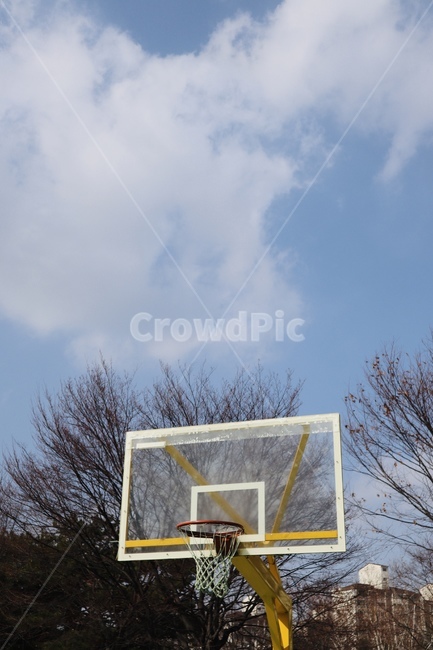 농구골대,농구,하늘,구름,농구장,노란색,운동,basketball,sky,cloud
