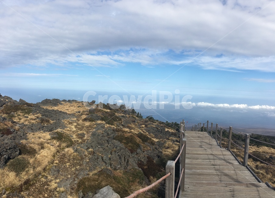 제주도,한라산,하늘,등산길,자연