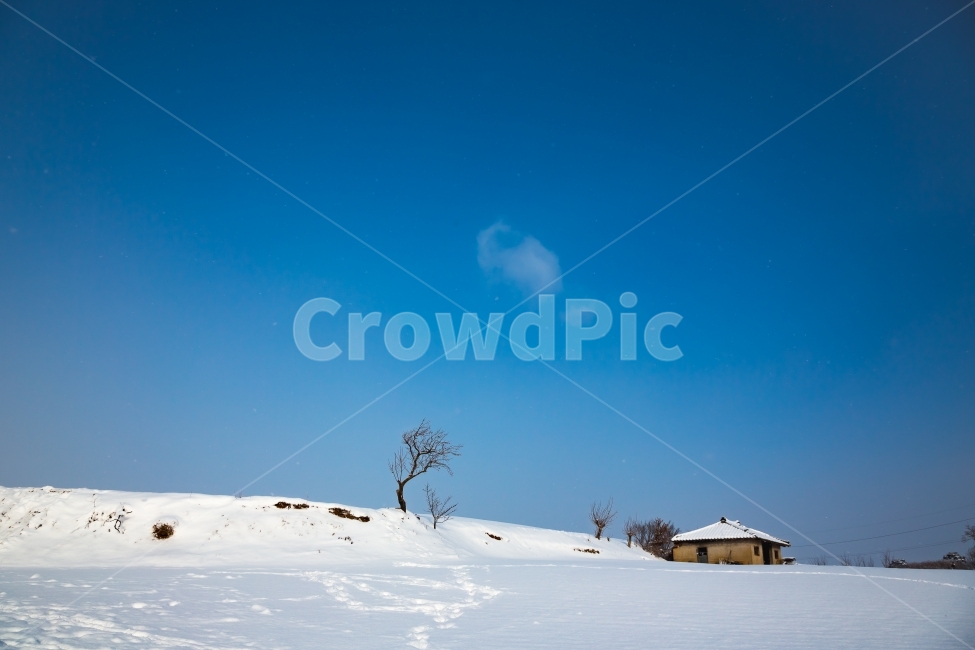 외딴집,장성,눈,폭설,겨울,파란하늘,계절,자연,풍경,겨울,계절,winter,season,자연,풍경,nature,landscape,시골,마을,country,rural,town,outdoors,옥외,농촌,building,건물