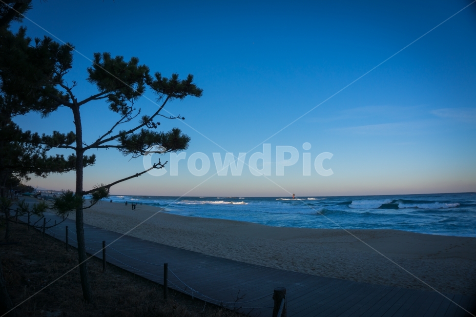 바다,풍경,blue,푸른,하늘,나무,해변,수평선,물,sea,wave,sky,자연,풍경,nature,landscape,해변,바다,beach,sea,감성,sensible,feeling,색깔,색상,색채,색감,color sense,color sensitivity,feeling of color