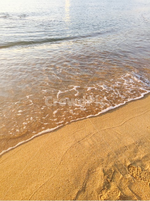 모래사장,바닷가,정동진,거품,모래,파도