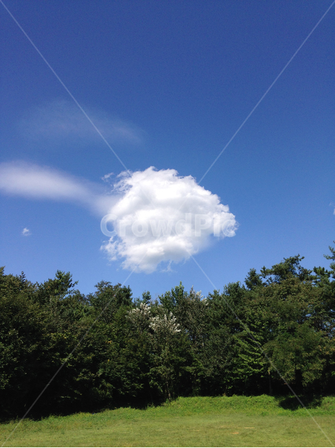 구름,하늘,풀밭,나무,숲,맑은,여름,자연,풍경,nature,landscape,weather,날씨,outdoors,옥외,cloud,cumulus,적운,sky