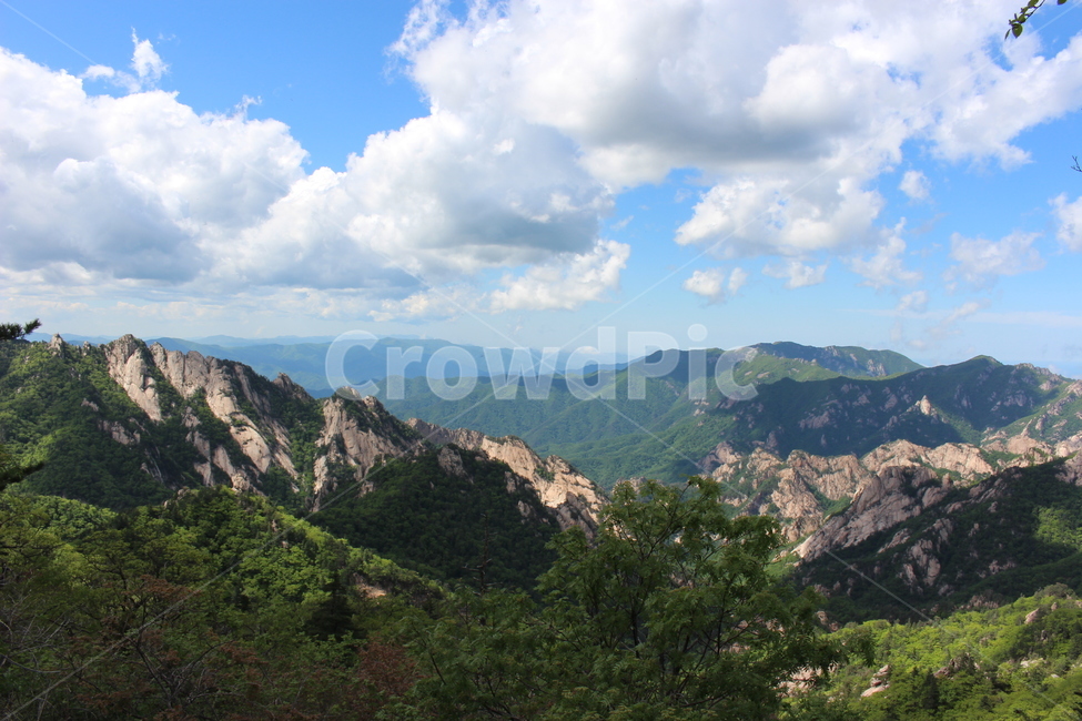 nature,자연,mountain,산,등산,설악산,파란하늘,bluesky,tree,green,나무,자연,풍경,nature,landscape