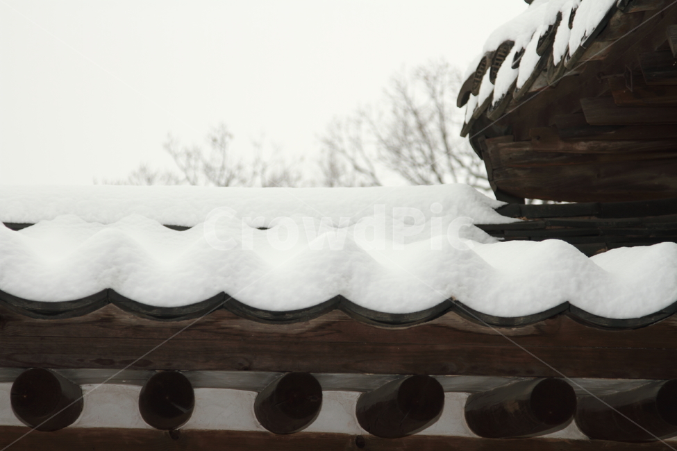 창덕궁,겨울,기와,눈온날,풍경,눈,겨울,계절,winter,season,한국전통,한국문화,korean traditional,korean culture,건축물,건물외관,exterior,building,structure,architecture,construction