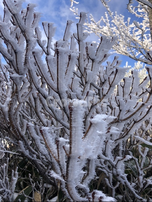 겨울산행,설경,눈꽃,자연,nature,파란하늘,겨울,winter,겨울산,상고대