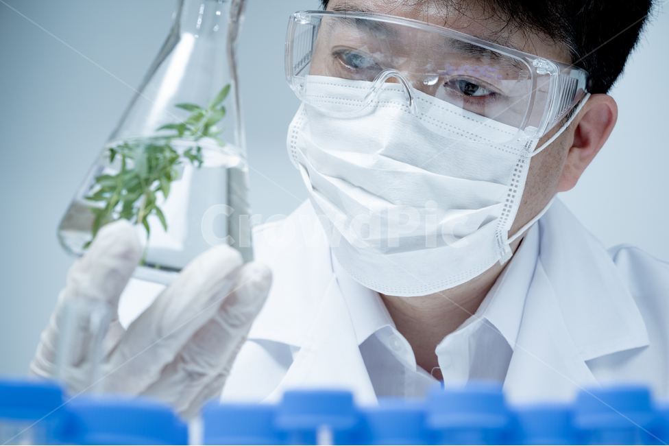 과학,의료,과학자,식물학,식물,표본,샘플,견본,연구원,실험실,연구실,실습실,장비,설비,용품,시험관,튜브,생명공학,의학,실험,생물학,배경,컨셉,개념,사이언스,화학,테스트,시험,검사,미생물학,분석,푸른색,파란색,블루,기술,생화학,테크놀로지,개발,교육,약학,동양인,남자,아시아인,일본인,중국인,한국인,남성,1인,산업,industry,industrial