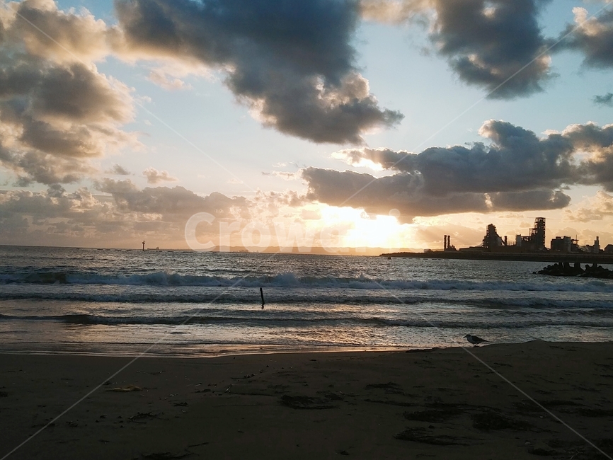 새벽,아침,sea,바다,seagull,갈매기,nature,자연,outdoors,옥외,weather,날씨,sky,하늘,해변,바다,beach,sea