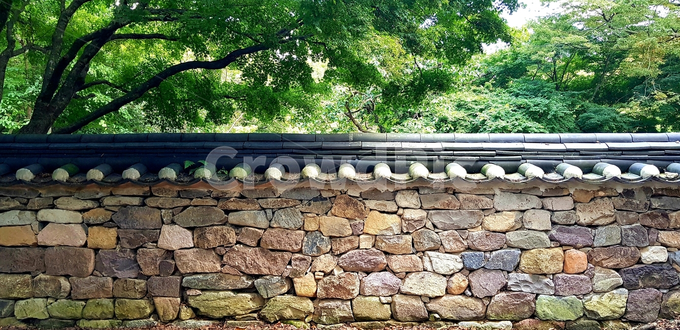 담장,돌,벽,wall,담벼락,전통,풍경,옛날,한국전통,tradition,scenery,koreantradition,자연,nature,야외