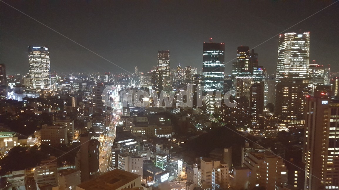 일본,건축물,야경,밤,도시