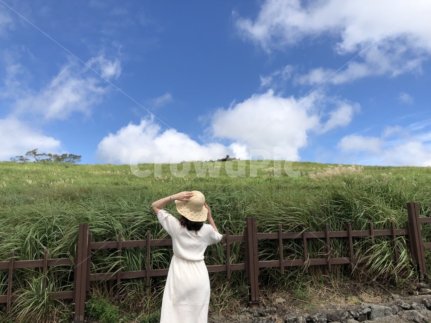 여행,초원,들판,모자,원피스,사람,인물,hat,dress,grass,field,travel,wind,clouds,sky,바람,구름,하늘,자연,trip,감성,감성사진,컨셉,느낌,평화로움,한적함,사람,인물,인간,human,person,여성,여자,woman,female,lady,여행,휴가,traveling,vacation,trip
