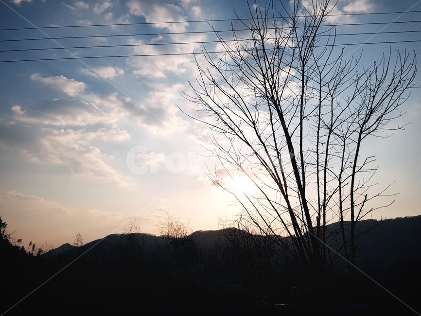 가을하늘,노을,노을그림,감성샷,하늘그림,나무,자연,풍경,nature,landscape,outdoors,옥외