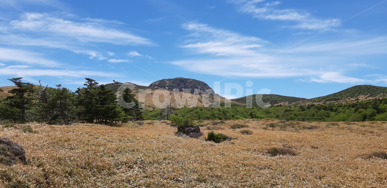 제주도,한라산,어리목코스,남벽,윗세오름
